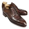 Hot Carmina BLUCHER STRAIGHT TOE BRUN MUSEUM | BROWN