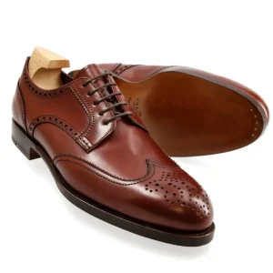 Hot Carmina CHAUSSURE DERBY 80659 TIMS BURGUNDY