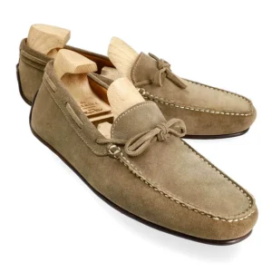 Shop Carmina CHAUSSURES DE CONDUITE VISION REPELLO | TAUPE