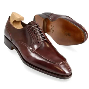 Store Carmina DERBY CORDOVAN BORDEAUX | BURGUNDY