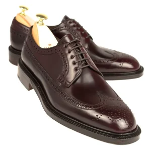 Fashion Carmina DERBY CORDOVAN | BURGUNDY