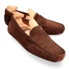 Clearance Carmina MOCASSINS DE CONDUITE EN DAIM HUMUS