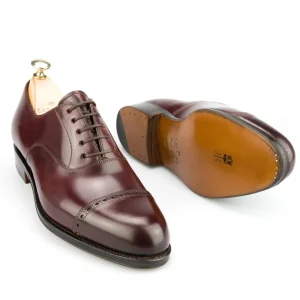 Clearance Carmina RICHELIEU CHAUSSURE CORDOVAN BORDEAUX |